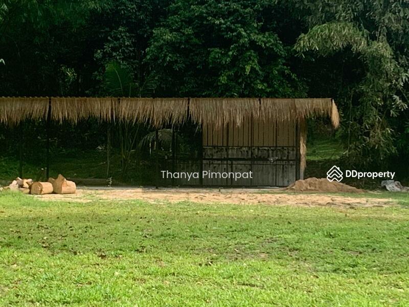 ขาย - Mountain Sea House Meanam Soi 2, สุราษฎร์ธานี