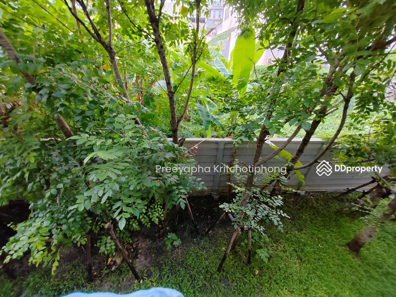For Rent - Plum Condo Sukhumvit 62, Bangkok
