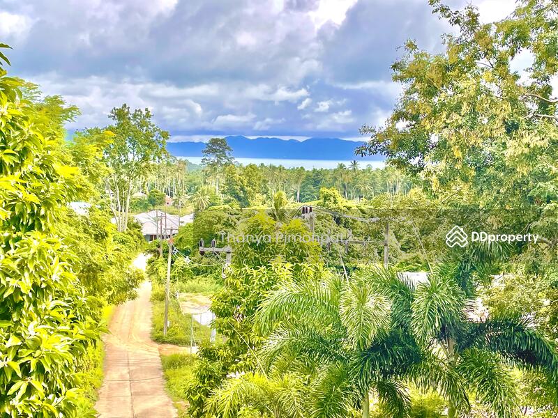 ให้เช่า - Luxurious and Homey Sea View Villa, สุราษฎร์ธานี