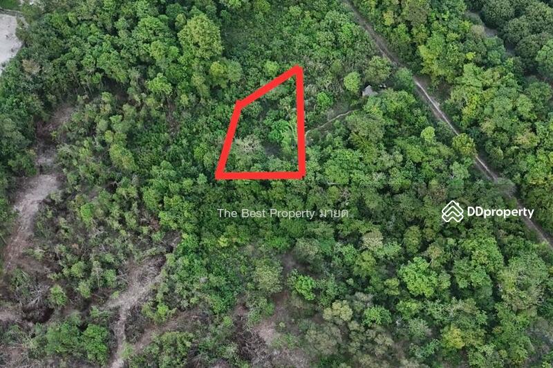 For Sale - ที่ดินมะขาม จันทบุรี, Chanthaburi
