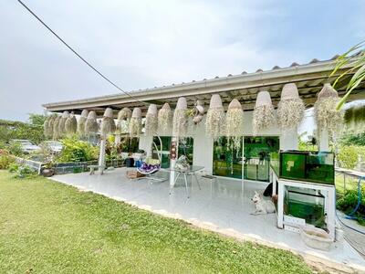 ขาย - https://maps.app.goo.gl/Rejc2rSqa8ZZ3tEw6, ชลบุรี