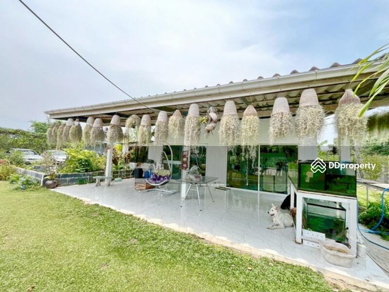 ขาย - https://maps.app.goo.gl/Rejc2rSqa8ZZ3tEw6, ชลบุรี