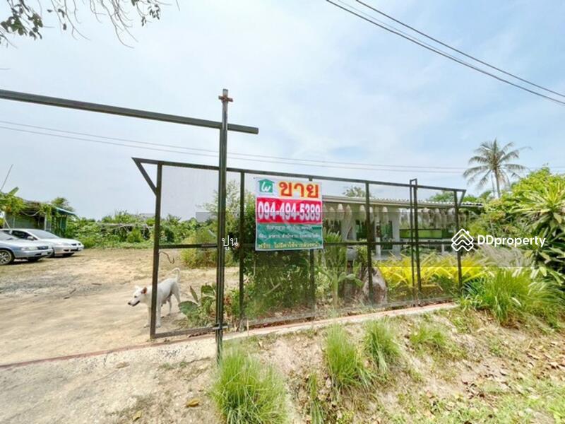 ขาย - https://maps.app.goo.gl/Rejc2rSqa8ZZ3tEw6, ชลบุรี