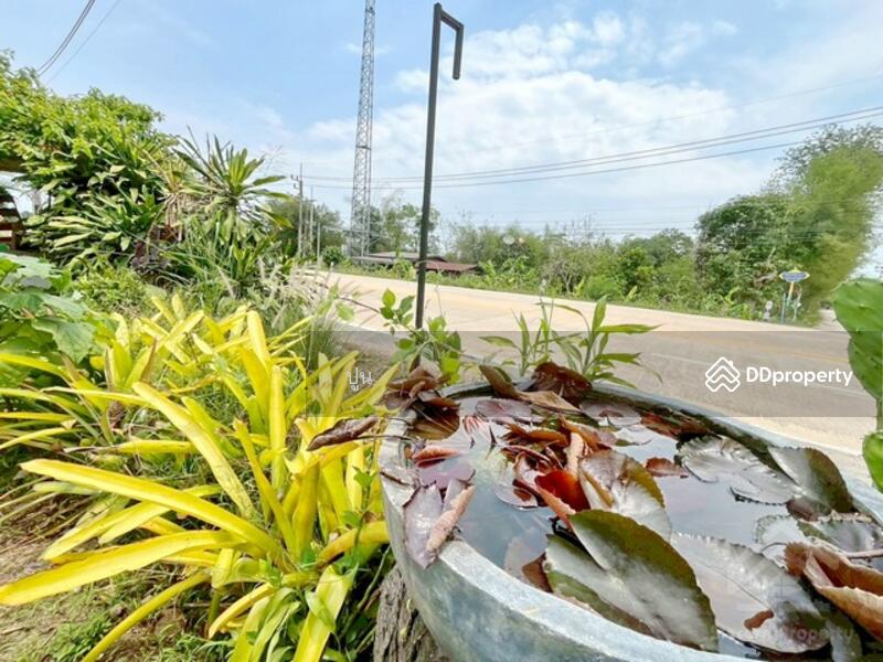 ขาย - https://maps.app.goo.gl/Rejc2rSqa8ZZ3tEw6, ชลบุรี