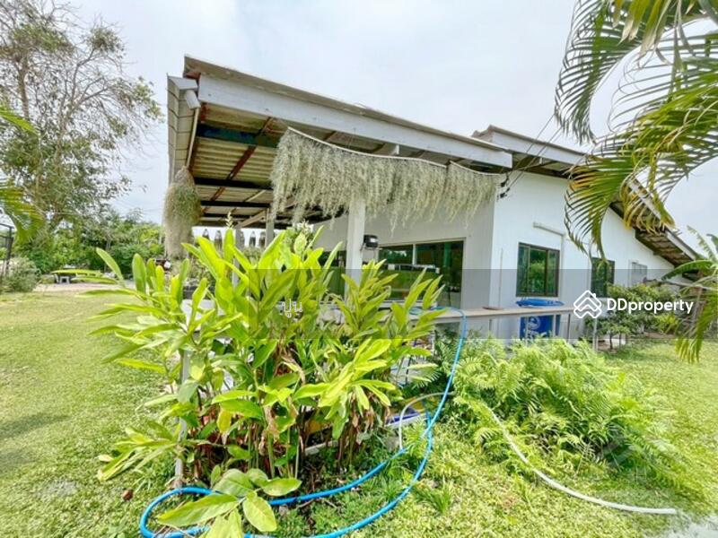 ขาย - https://maps.app.goo.gl/Rejc2rSqa8ZZ3tEw6, ชลบุรี