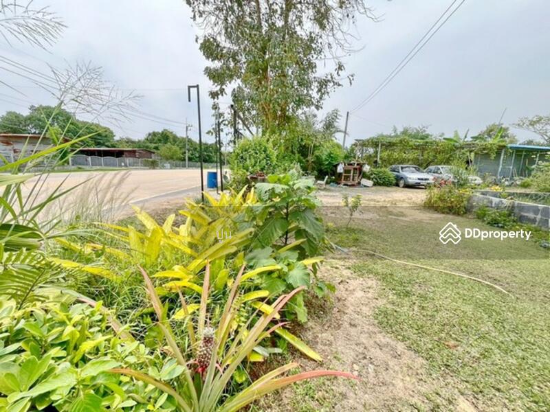 ขาย - https://maps.app.goo.gl/Rejc2rSqa8ZZ3tEw6, ชลบุรี