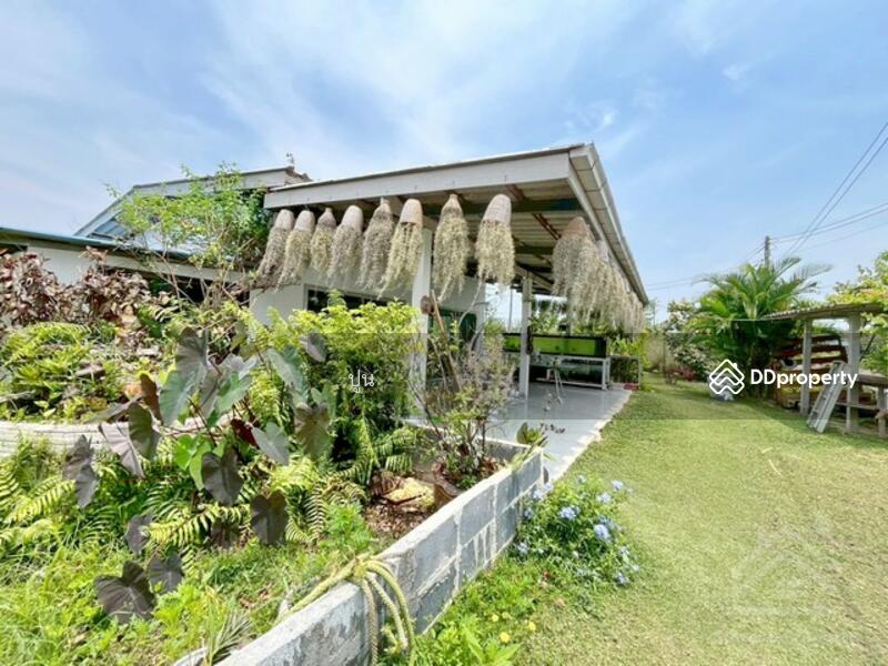 ขาย - https://maps.app.goo.gl/Rejc2rSqa8ZZ3tEw6, ชลบุรี