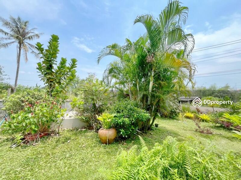 ขาย - https://maps.app.goo.gl/Rejc2rSqa8ZZ3tEw6, ชลบุรี