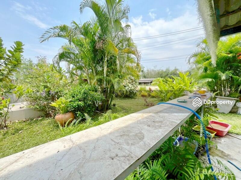 ขาย - https://maps.app.goo.gl/Rejc2rSqa8ZZ3tEw6, ชลบุรี