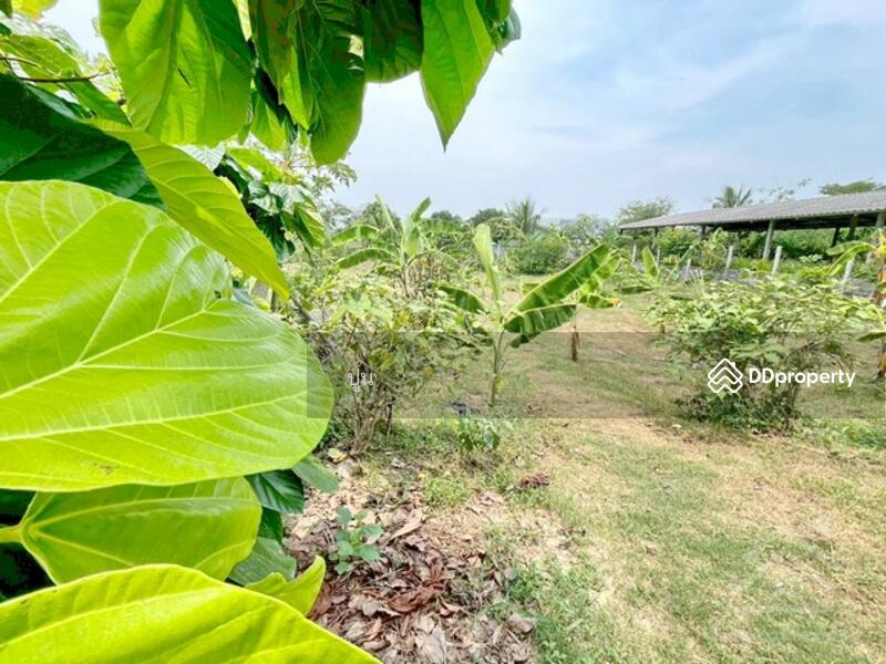ขาย - https://maps.app.goo.gl/Rejc2rSqa8ZZ3tEw6, ชลบุรี