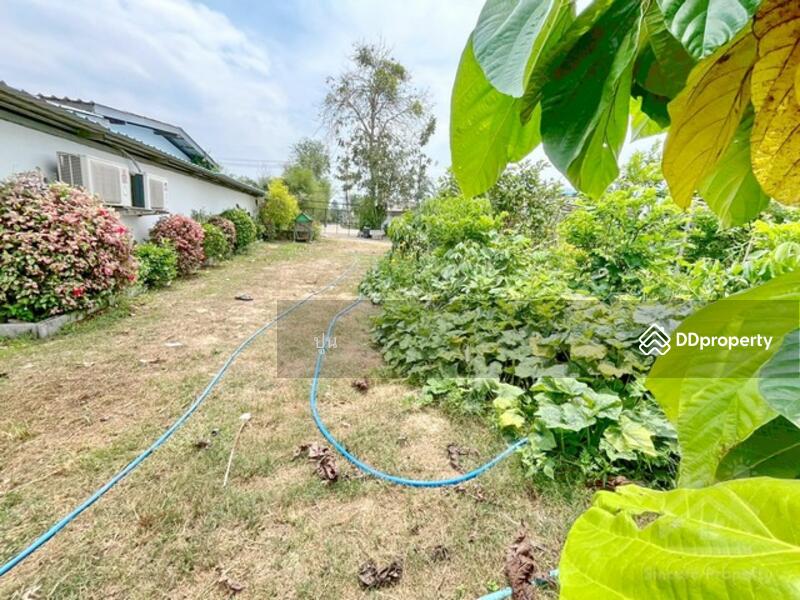 ขาย - https://maps.app.goo.gl/Rejc2rSqa8ZZ3tEw6, ชลบุรี