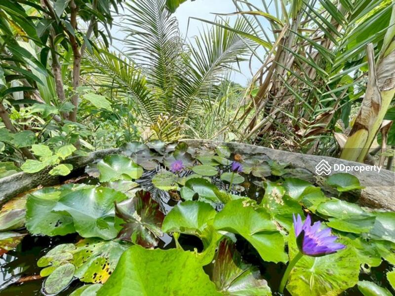 ขาย - https://maps.app.goo.gl/Rejc2rSqa8ZZ3tEw6, ชลบุรี