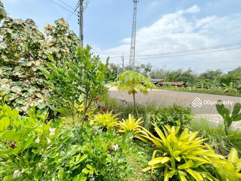 ขาย - https://maps.app.goo.gl/Rejc2rSqa8ZZ3tEw6, ชลบุรี