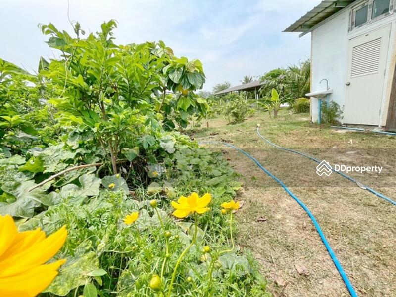 ขาย - https://maps.app.goo.gl/Rejc2rSqa8ZZ3tEw6, ชลบุรี