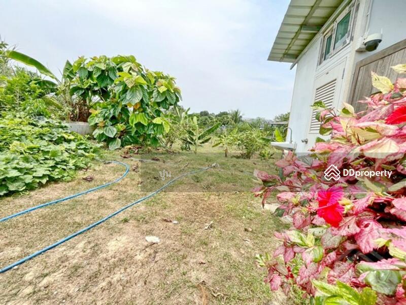 ขาย - https://maps.app.goo.gl/Rejc2rSqa8ZZ3tEw6, ชลบุรี