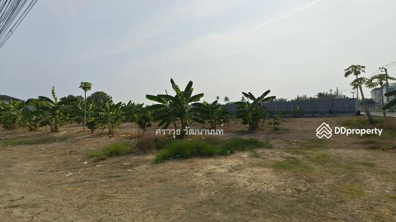 ให้เช่า - อนามัยงามเจริญ 25, กรุงเทพ