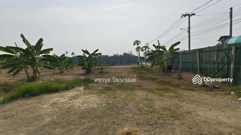 ให้เช่า - อนามัยงามเจริญ 25, กรุงเทพ