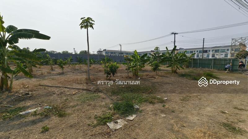 For Rent - อนามัยงามเจริญ 25, Bangkok