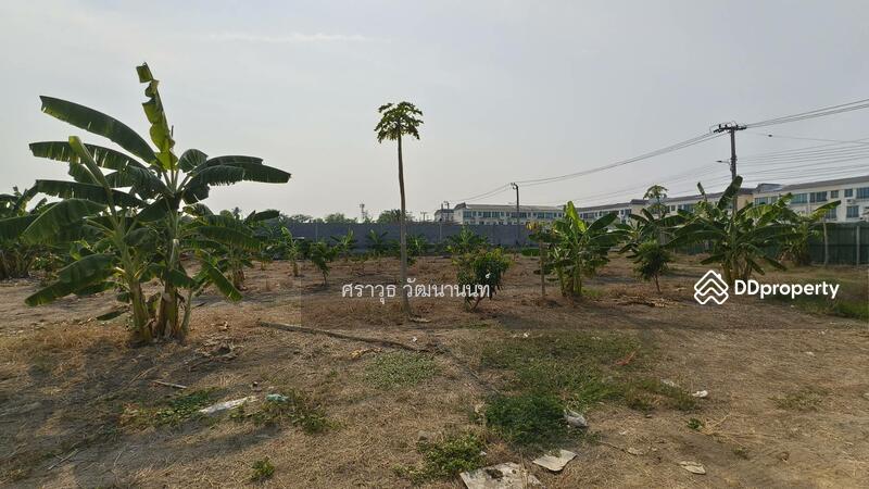 ให้เช่า - อนามัยงามเจริญ 25, กรุงเทพ