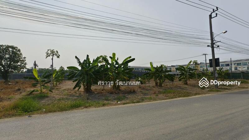 For Rent - อนามัยงามเจริญ 25, Bangkok