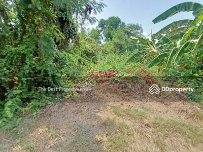 ขาย - ที่ดินคลองเปรง ฉะเชิงเทรา, ฉะเชิงเทรา