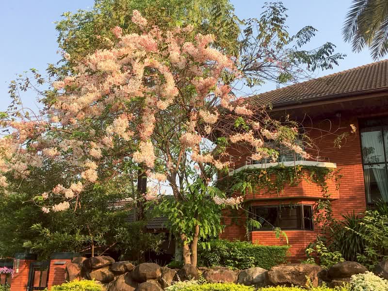 Panya Ramintra, Bangkok, Soi Premruthai, Khan Na Yao, Khan Na Yao, Bangkok, 3 Bedrooms, 1,000 sqm, Single Detached House For Sale, by Princeton Estate Co.,Ltd., 11840311 - DDproperty.com