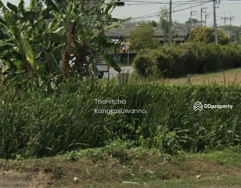 ให้เช่า - ที่ดิน ถนนเพชรเกษม ( Land, Petchkasem Road ), นครปฐม