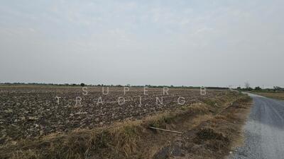 ขาย - ขาย ที่ดิน 19 ไร่ 56 ตร.ว. บางเตย ฉะเชิงเทรา, ฉะเชิงเทรา