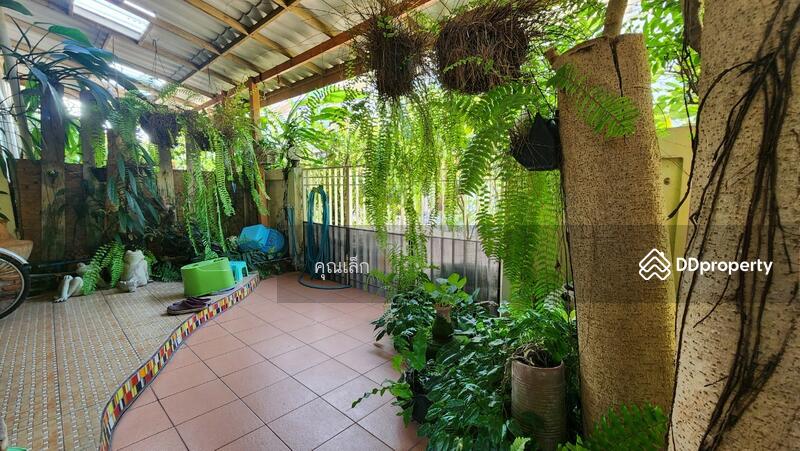 ขาย - หมู่บ้านสรานนท์ บางกะปิ : Saranon Village Bang kapi, กรุงเทพ
