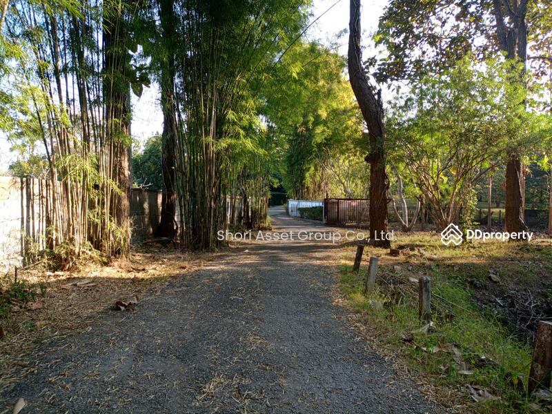 For Rent - Thai Lanna style house with swimming pool, Chiang Mai