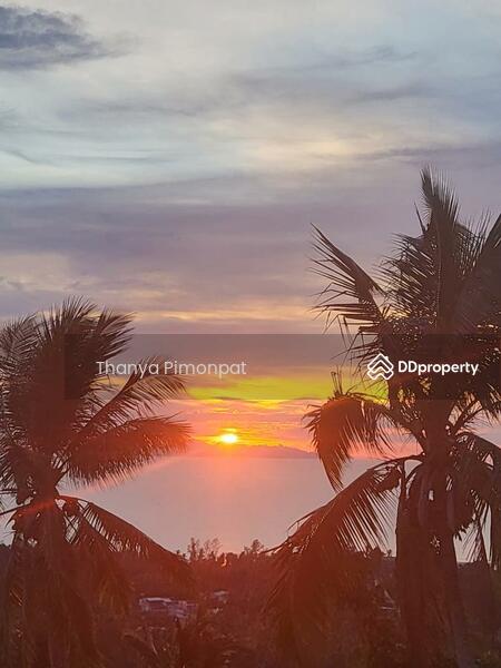 For Rent - 3 Bedrooms Stunning Sea View Villa In Ang Thong, Surat Thani