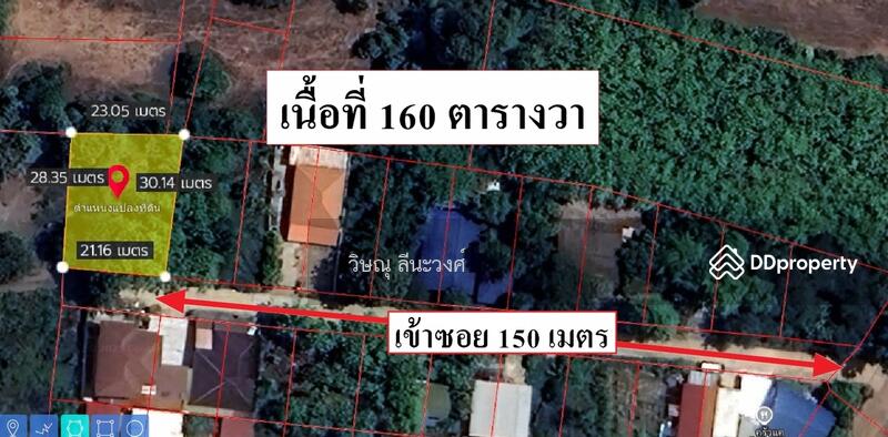 ขาย - ขาย ที่ดิน เปล่า พร้อม ต้นสัก เนื้อที่ 160 ตารางวา ซอย วัดจิตเริง ถนน สุรนารายณ์ โคกสูง โคราช, นครราชสีมา