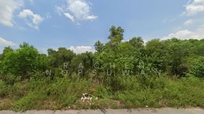 ขาย - ที่ดินปากรอ สงขลา 12 ไร่, สงขลา