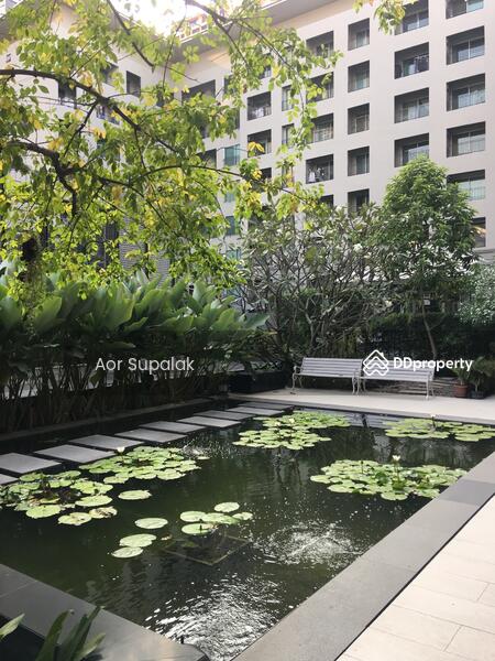ขาย - The Seed Memories Siam : เดอะ ซี้ด เมมโมรี่ สยาม, กรุงเทพ