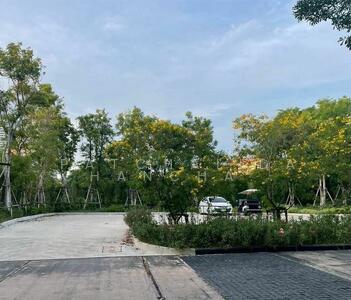 ขาย - LAND 2-1-14 RAI Wongamat Pattaya, ชลบุรี