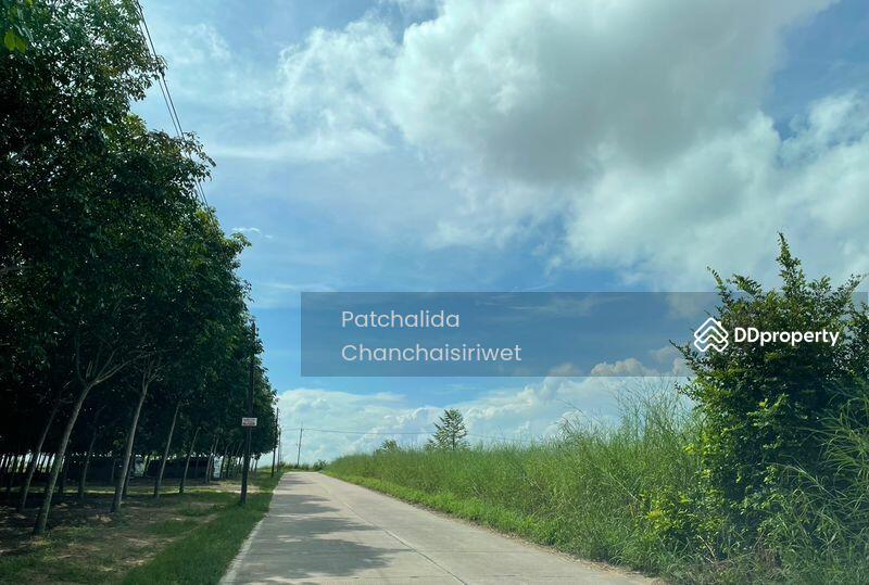 ขาย - LAND 22-0-0 RAI Sriracha Chonburi, ชลบุรี