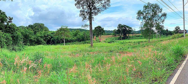 LAND 9-0-5 RAI BANGSARE PATTAYA, Chon Buri (Pattaya), Bang Sa-re, Sattahip, Chon Buri (Pattaya), , 14,420 sqm, Land For Sale, by Patchalida Chanchaisiriwet, 11842928 - DDproperty.com
