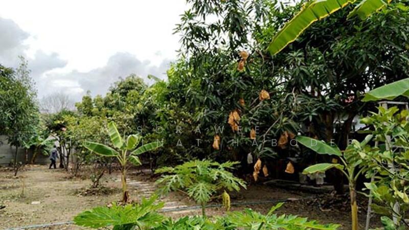 ขาย และให้เช่าที่ดินพร้อมสิ่งปลูกสร้าง เฉลิมพระเกียรติ ร.๙, กรุงเทพ, เฉลิมพระเกียรติ ร.9, ดอกไม้, ประเวศ, กรุงเทพ, 1,600 ตร.ม., ที่ดิน ขาย, โดย Sorawee Chueninatthabodee, 11843307 - DDproperty.com