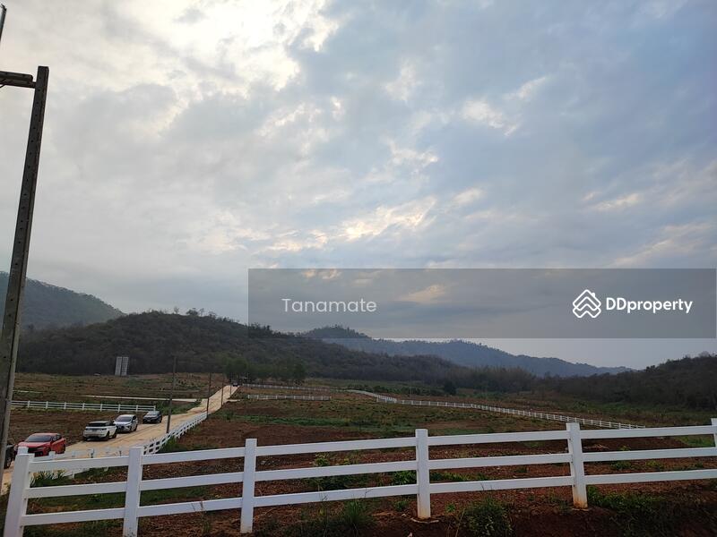 For Sale - ที่ดินแบ่งขาย ใกล้เขื่อนแก่งกระจาน อ.ท่ายาง จ.เพชรบุรี, Phetchaburi