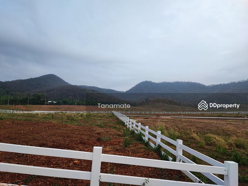 For Sale - ที่ดินแบ่งขาย ใกล้เขื่อนแก่งกระจาน อ.ท่ายาง จ.เพชรบุรี, Phetchaburi