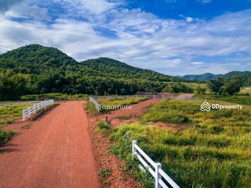 For Sale - ที่ดินแบ่งขาย ใกล้เขื่อนแก่งกระจาน อ.ท่ายาง จ.เพชรบุรี, Phetchaburi