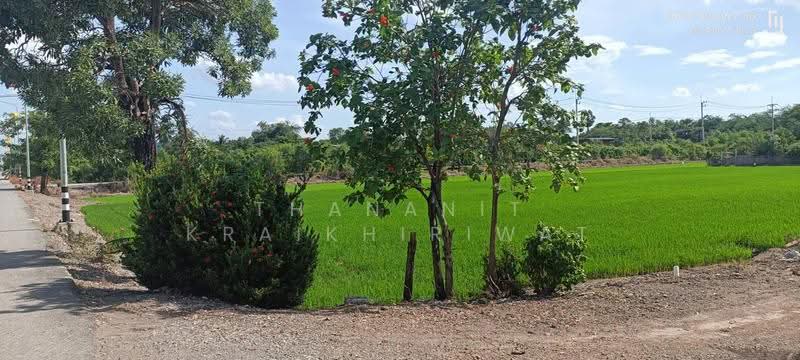 ที่ดินเปล่า คลองพระอุดม ลาดหลุมแก้ว, ปทุมธานี, คลองพระอุดม, ลาดหลุมแก้ว, ปทุมธานี, 3,336 ตร.ม., ที่ดิน ขาย, โดย Thananit Kraikhiriwat, 11843440 - DDproperty.com