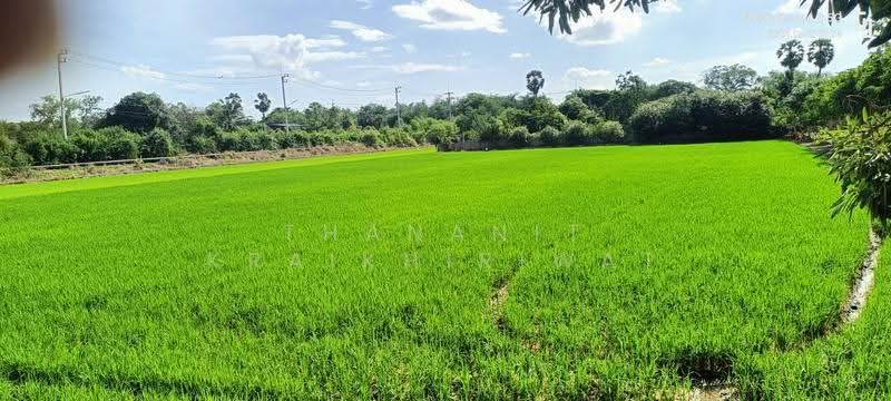 ที่ดินเปล่า คลองพระอุดม ลาดหลุมแก้ว, ปทุมธานี, คลองพระอุดม, ลาดหลุมแก้ว, ปทุมธานี, 3,336 ตร.ม., ที่ดิน ขาย, โดย Thananit Kraikhiriwat, 11843440 - DDproperty.com