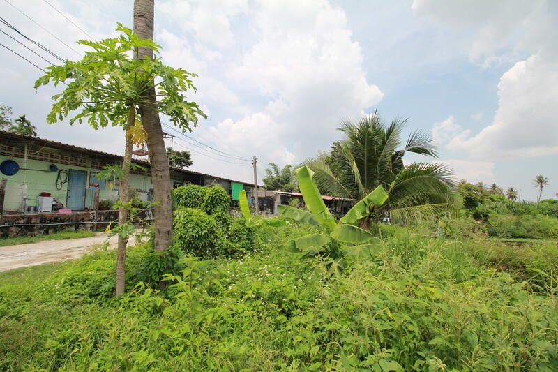 Land for sale: 5 Rai at 1.1 Million Baht per Rai, near Termsub Village, Ban Chang, Rayong, Rayong, Ban Zhang, Ban Chang, Rayong, , 8,000 sqm, Land For Sale, by สุเทพ พสุวณิชย์กุล, 11843742 - DDproperty.com