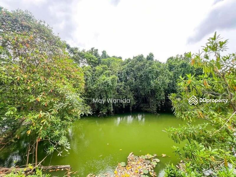 ขาย - 88 Land and Houses Hillside Phuket, ภูเก็ต