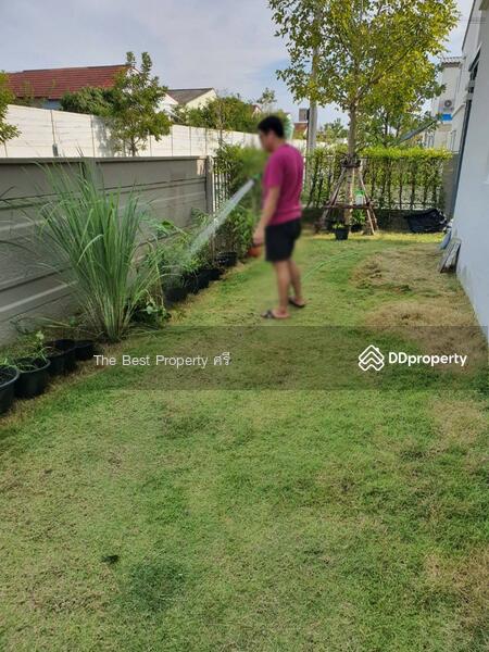 For Sale - Gusto Suksawat-Prachauthit, Samut Prakan