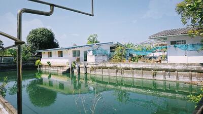 For Sale - บ้านสวน 2 ไร่ ลำลูกกา คลองสิบ ใกล้กรุงเทพฯ ซื้อมาทำบ้านพักตากอากาศ แต่ไม่มีเวลาไปอยู, Pathum Thani