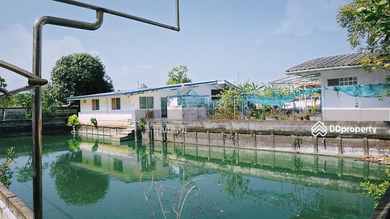 ขาย - บ้านสวน 2 ไร่ ลำลูกกา คลองสิบ ใกล้กรุงเทพฯ ซื้อมาทำบ้านพักตากอากาศ แต่ไม่มีเวลาไปอยู, ปทุมธานี