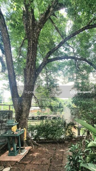 For Sale - Baan Suan Phueng Ramintra 65, Bangkok