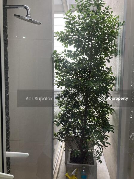 ขาย - 349 Residence : 349 เรสซิเดนซ์, กรุงเทพ